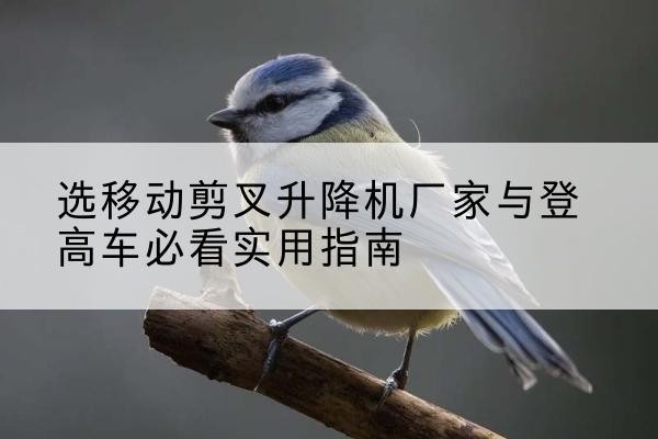 清涧电动升降机厂家-选移动剪叉升降机厂家与登高车必看实用指南