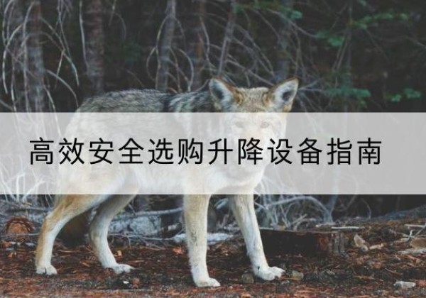 清涧升降货梯厂家推荐-*安全选购升降设备指南