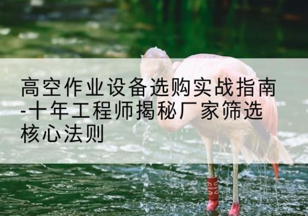 清涧剪叉式升降机厂家-高空作业设备选购实战指南-十年工程师揭秘厂家筛选核心法则