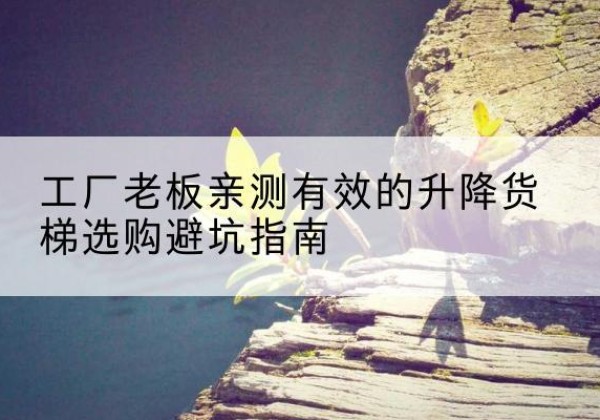 清涧升降货梯怎么选-工厂老板亲测有效的升降货梯选购避坑指南